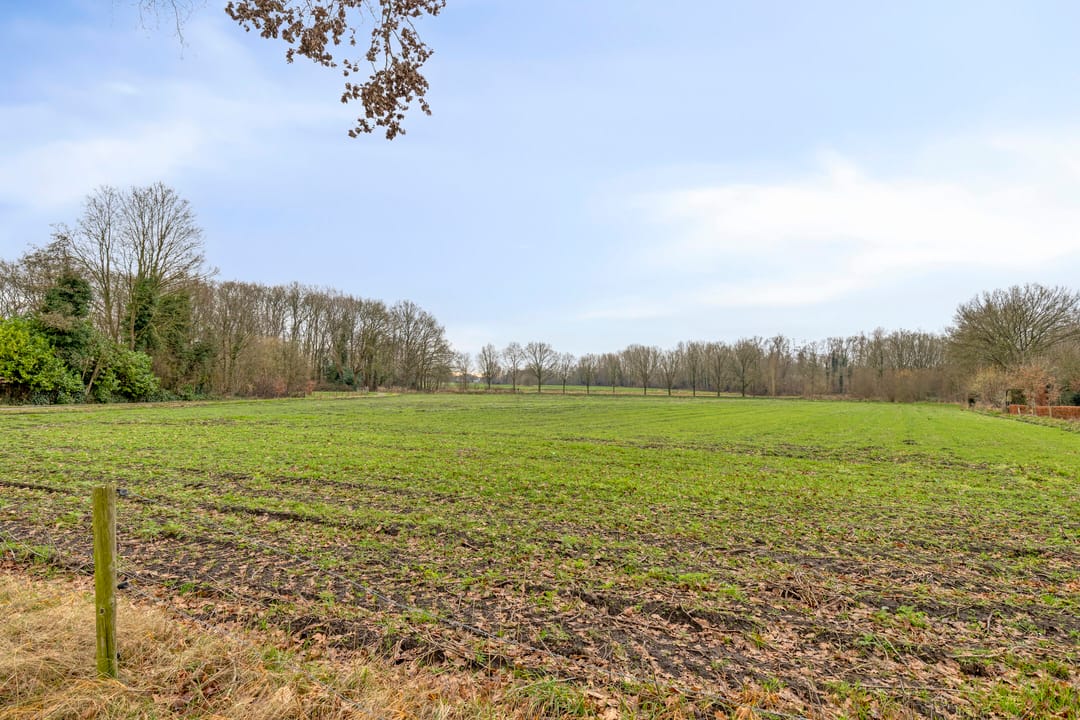 Foto 43 van Zevensterstraat 84