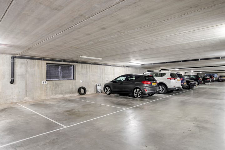 Foto 31 van Waterlelie 21