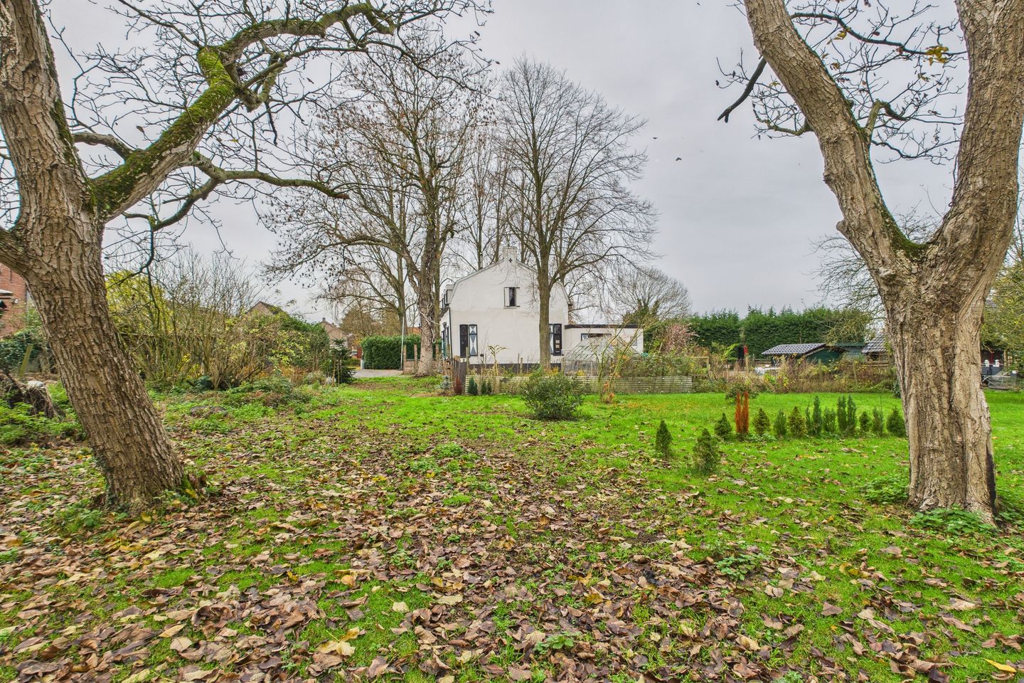 Foto 40 van Graafjansdijk B 37