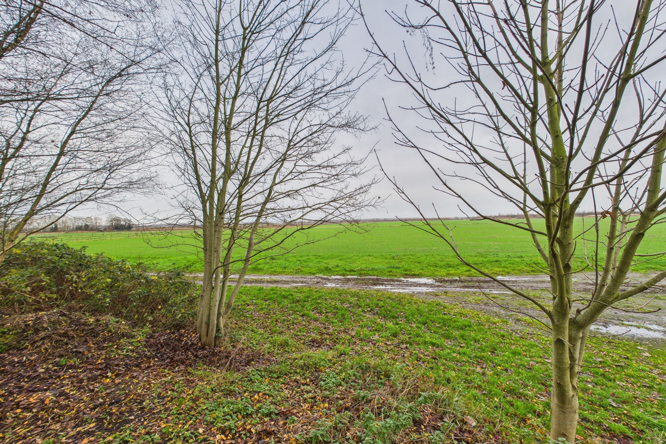 Foto 42 van Graafjansdijk B 37