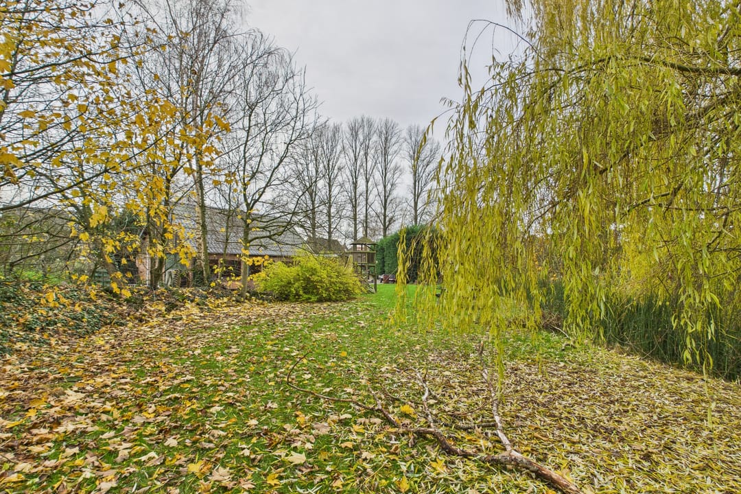 Foto 43 van Graafjansdijk B 37