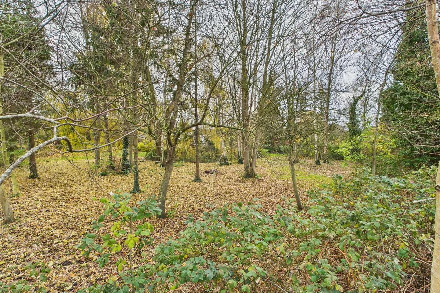 Foto 44 van Graafjansdijk B 37