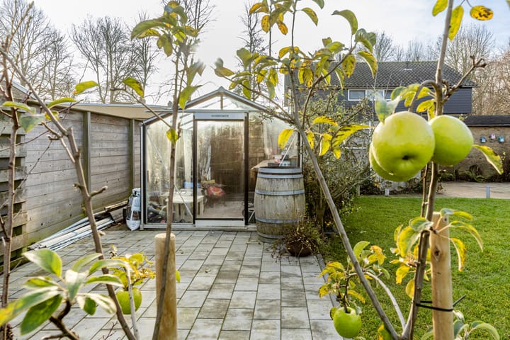 Foto 45 van Prunuslaan 3