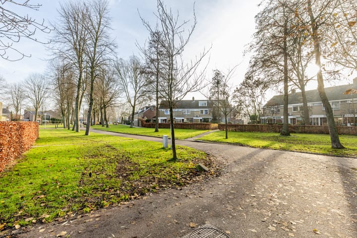 Foto 47 van Prunuslaan 3