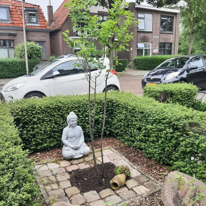 Foto 34 van Blankensteinweg 12