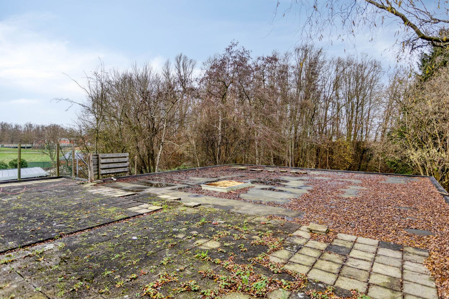 Photo 35 of H.F.Dresselhuisstraat 6