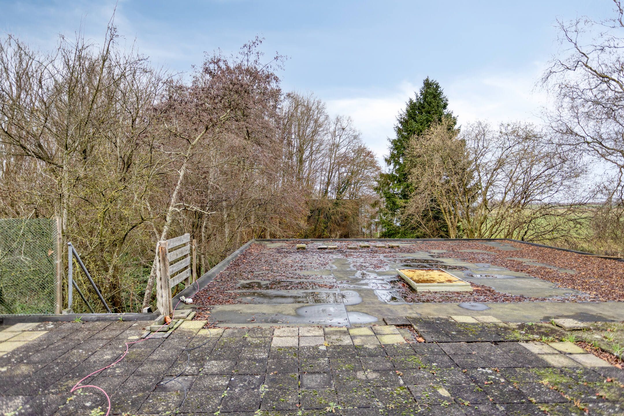 Photo 36 of H.F.Dresselhuisstraat 6