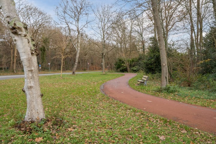 Foto 26 van Guardini-Nes 20-C