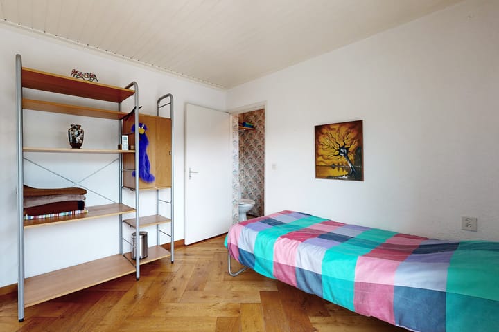 Foto 29 van Vlasselt 13