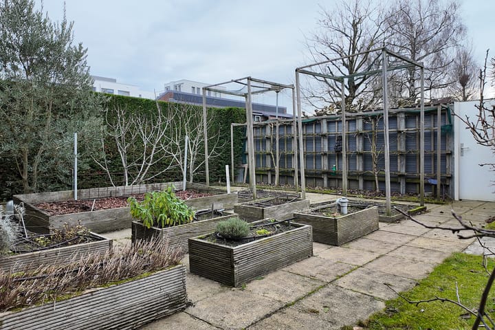 Foto 60 van Vlasselt 13