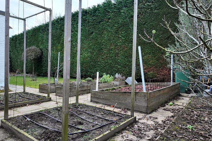 Foto 61 van Vlasselt 13