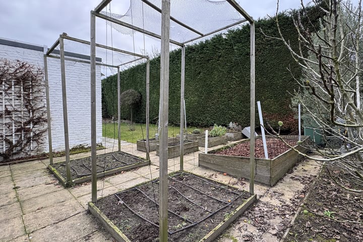 Foto 62 van Vlasselt 13