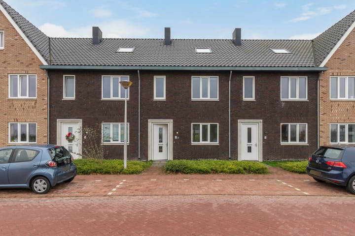 Foto 6 van Molkenkelder 34