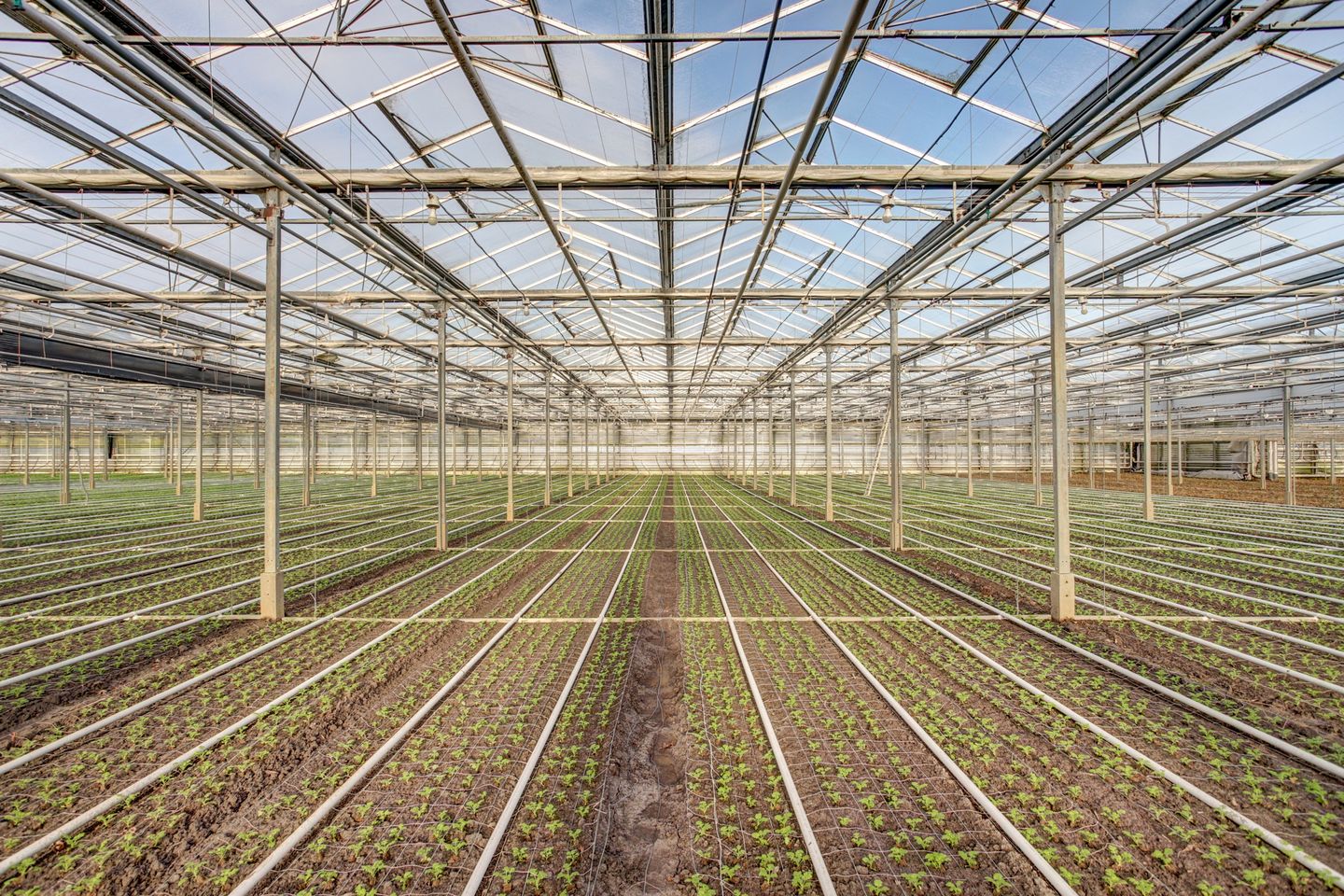 Bekijk foto 2 van Trappenberglaan 69-a