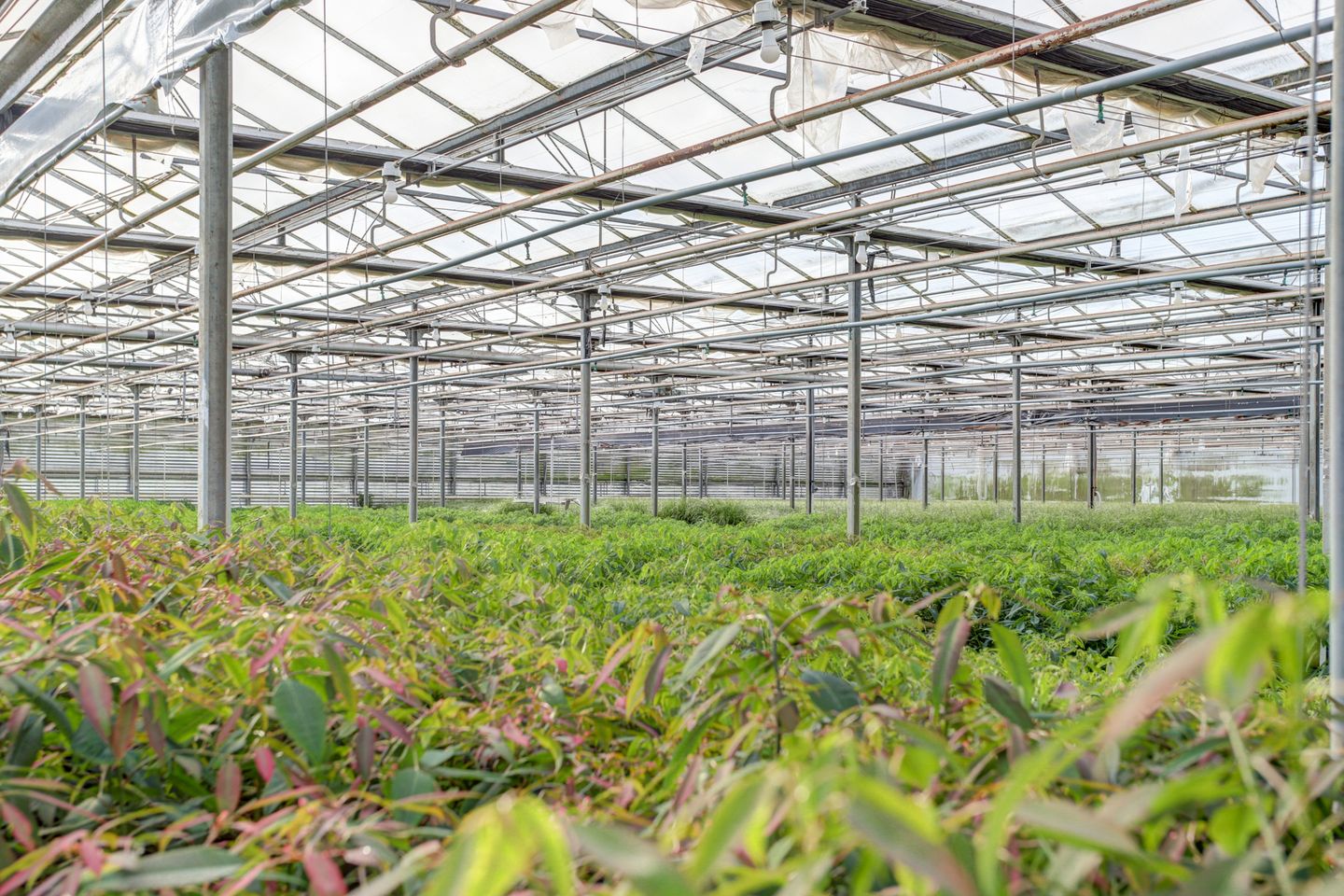 Bekijk foto 5 van Trappenberglaan 69-a