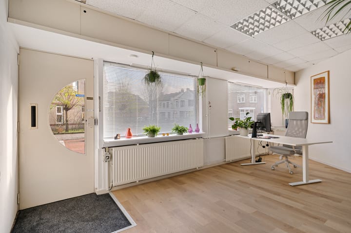 Foto 51 van Theresialaan 2