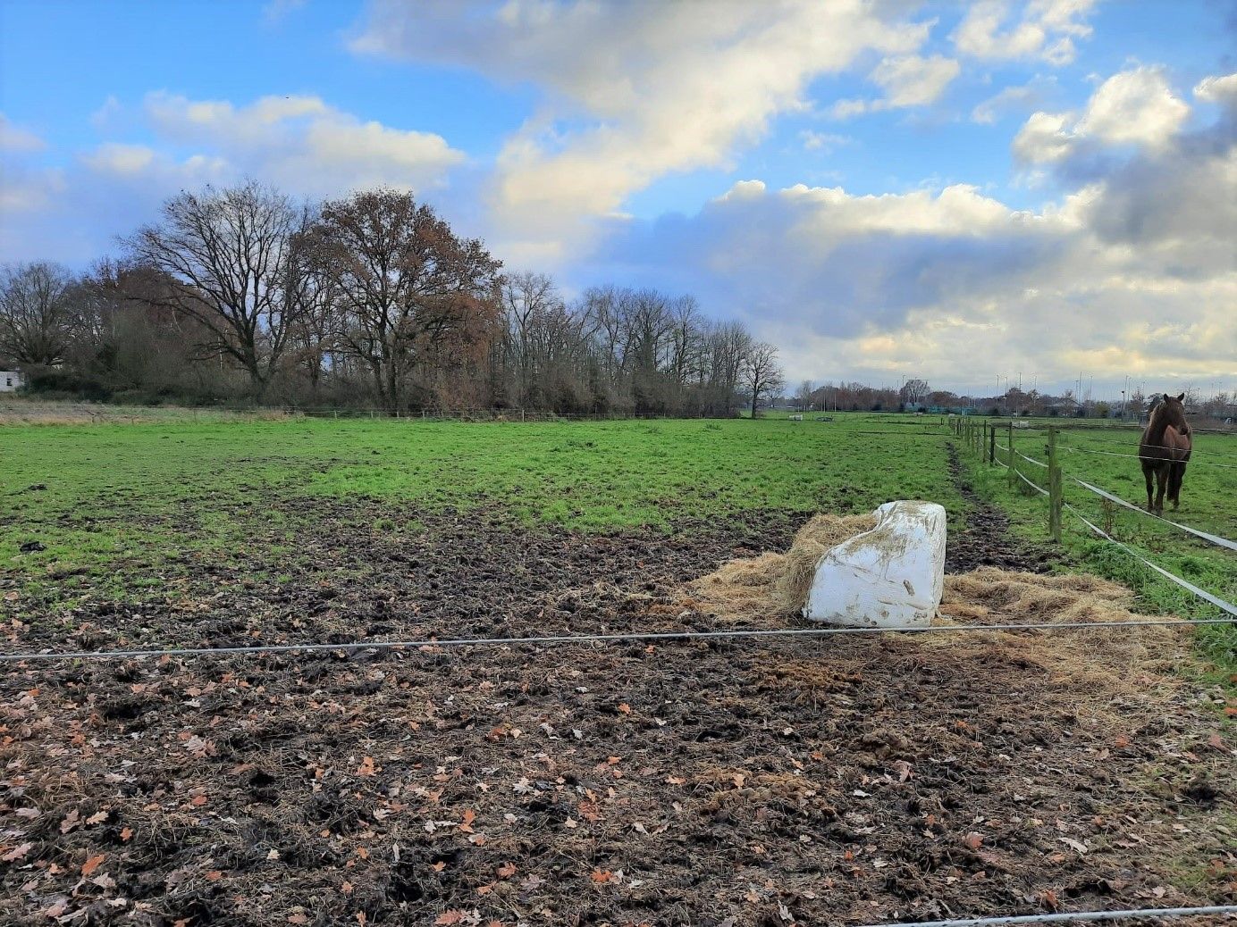 View photo 4 of Wildingsteeg