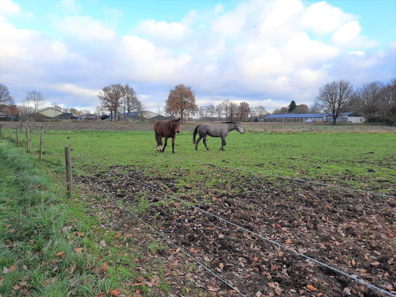 View photo 3 of Wildingsteeg