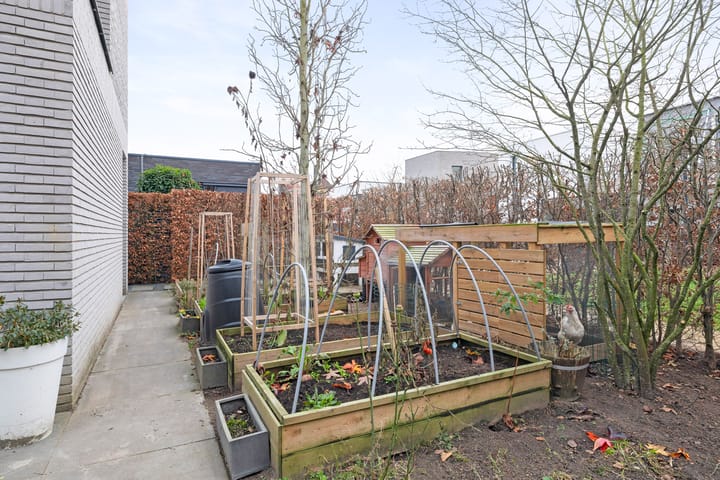 Foto 39 van Waterstad 167