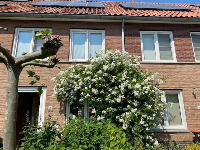 Photo 32 of Nelson Mandelastraat 8