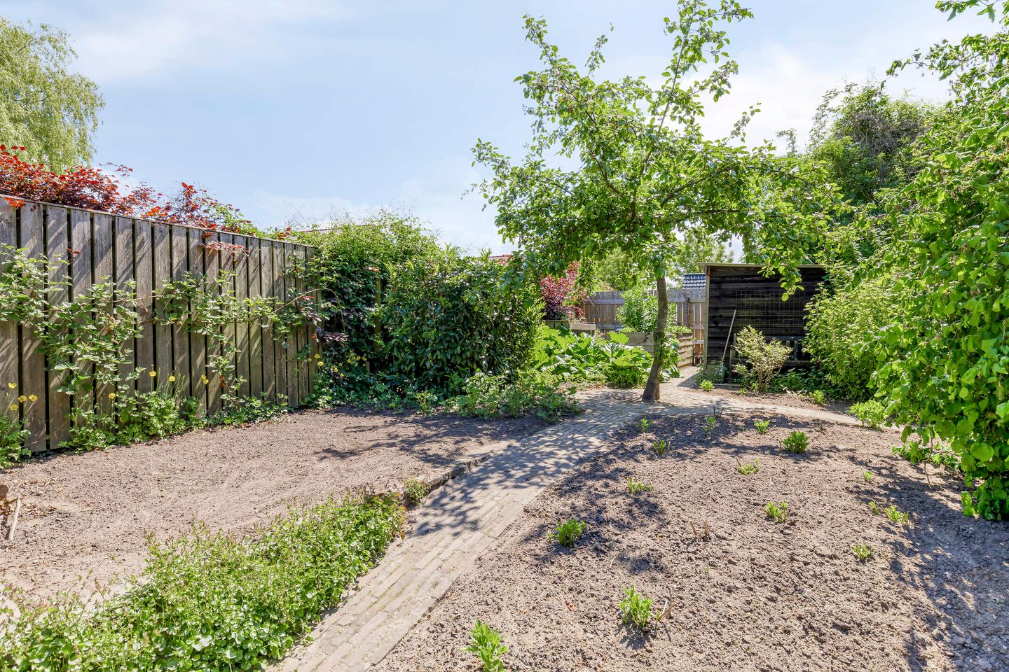 Foto 49 van Terheijlsterweg 35