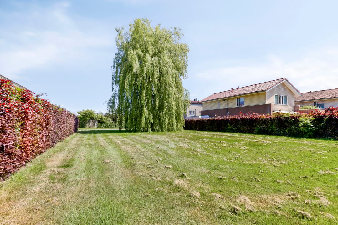 Foto 58 van Terheijlsterweg 35