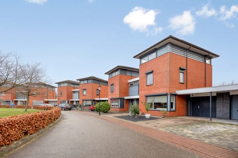 Robijnboog thumbnail