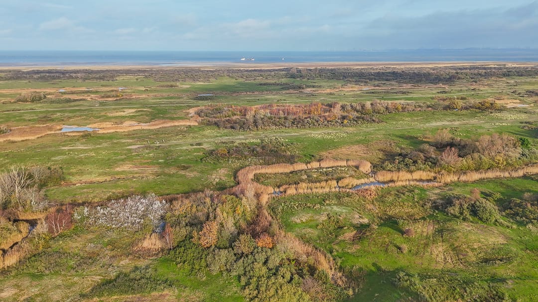 Foto 1 van Oostdijkseweg 47