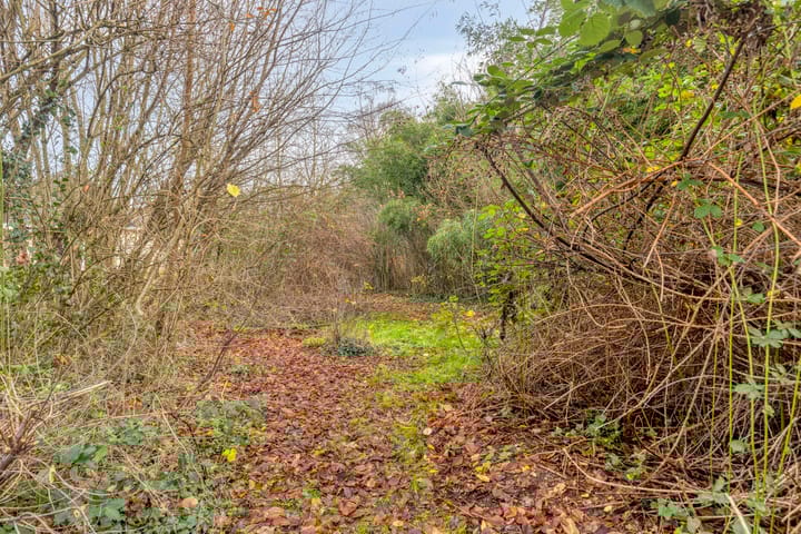 Photo 41 of Bocholtsestraatweg 51