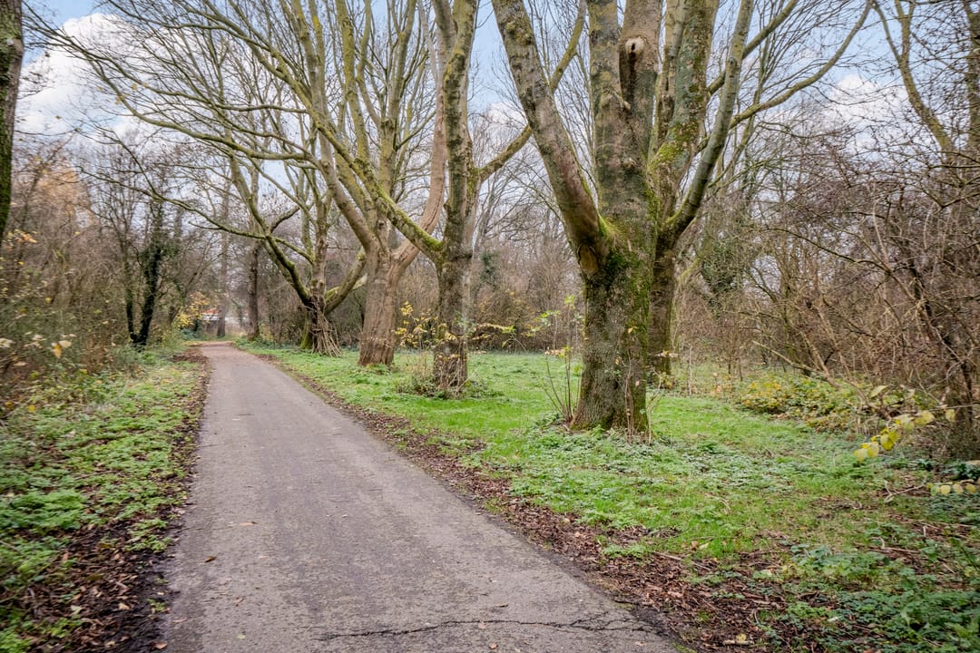 Photo 83 of Korenmolen 21