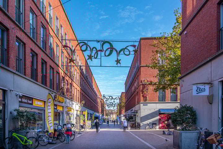 Foto 4 van Vuistbijl 39