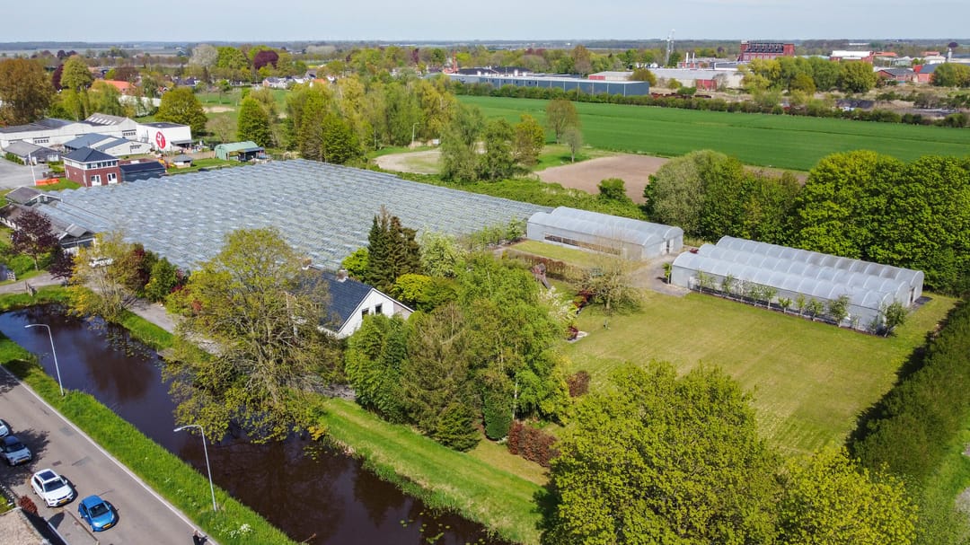 Foto 2 van Borgercompagniesterstr 1