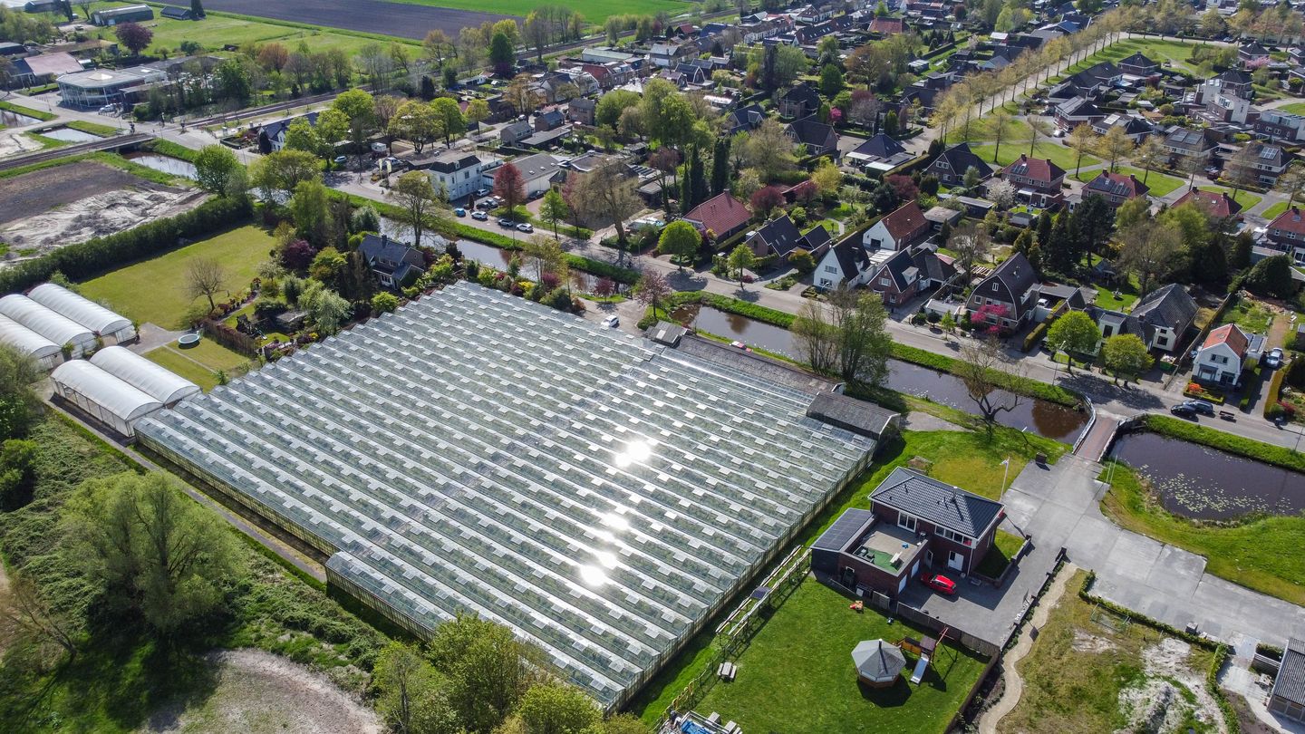 Foto 10 van Borgercompagniesterstr 1