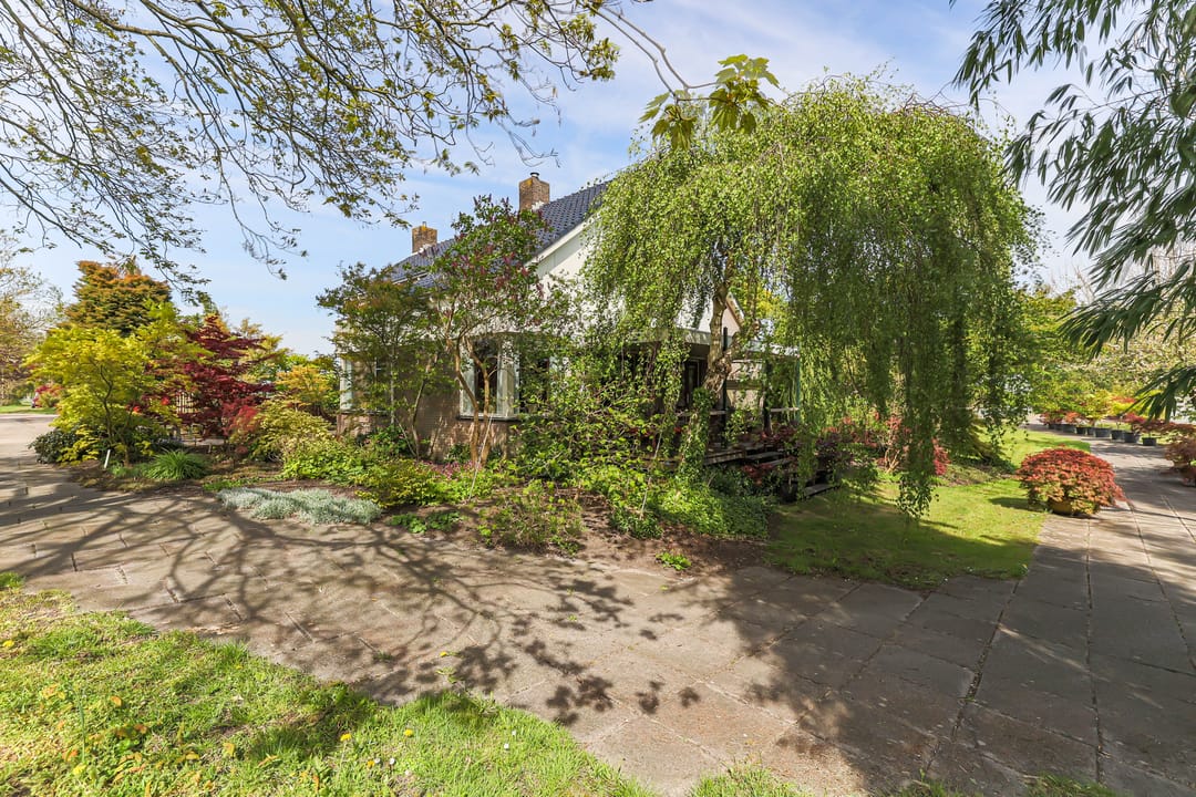 Foto 16 van Borgercompagniesterstr 1