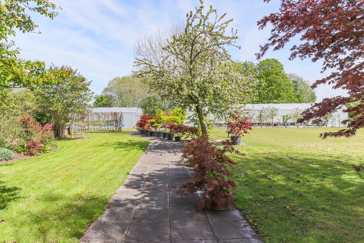 Foto 21 van Borgercompagniesterstr 1