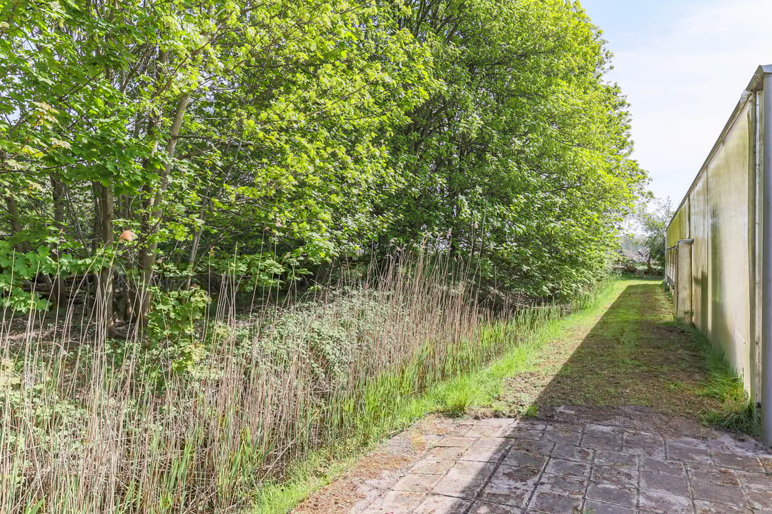 Foto 22 van Borgercompagniesterstr 1