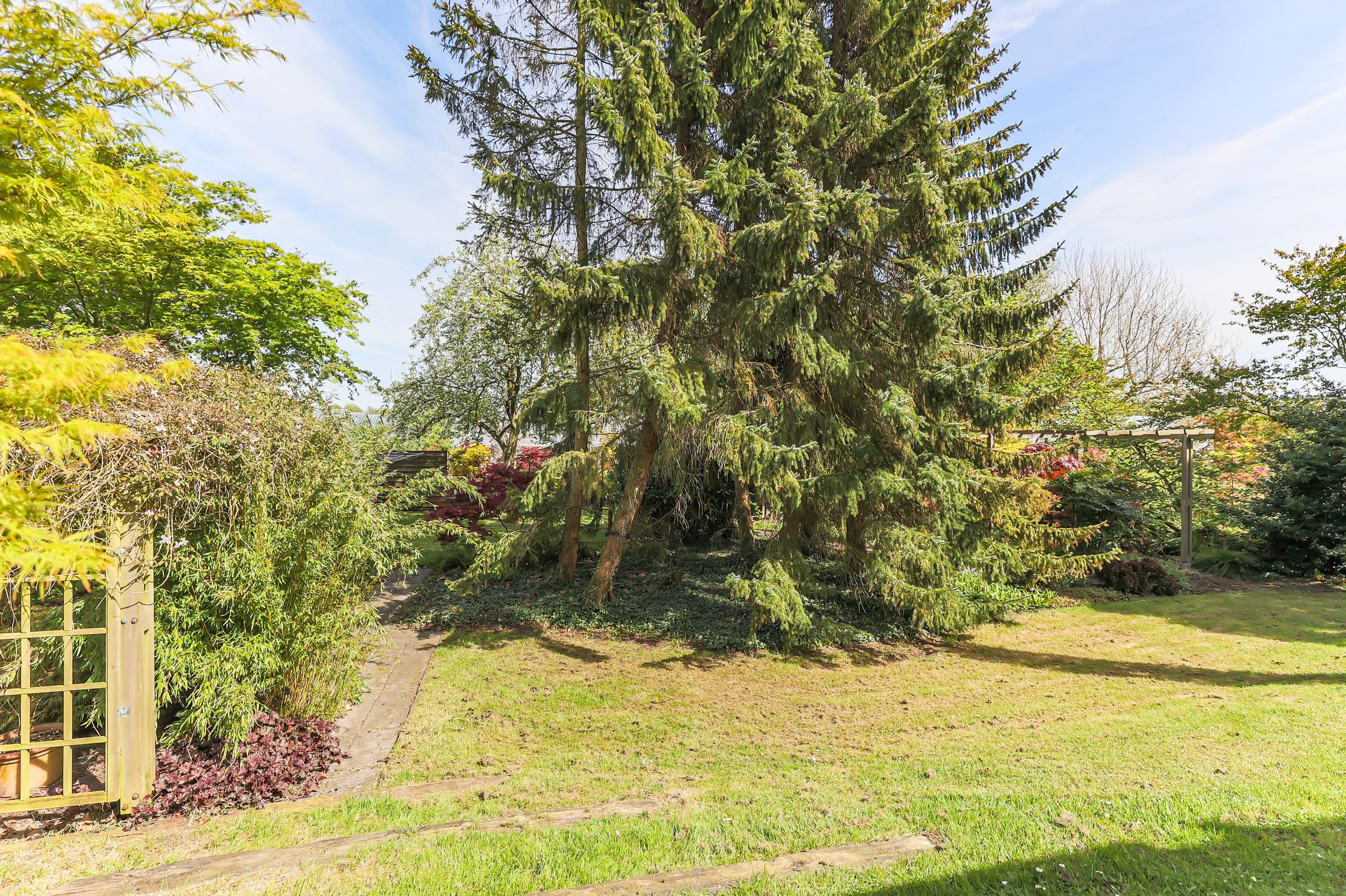 Foto 24 van Borgercompagniesterstr 1