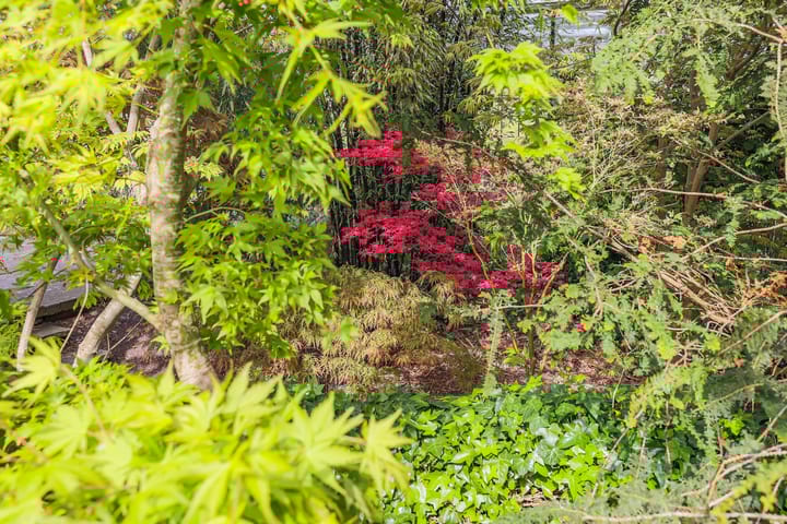 Foto 29 van Borgercompagniesterstr 1