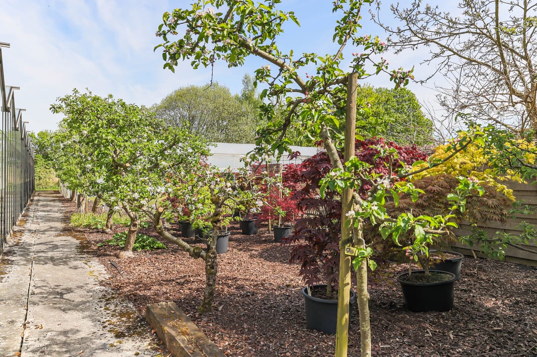 Foto 32 van Borgercompagniesterstr 1