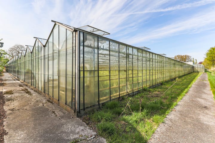 Foto 43 van Borgercompagniesterstr 1