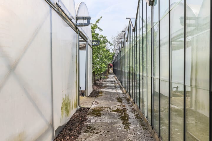 Foto 44 van Borgercompagniesterstr 1