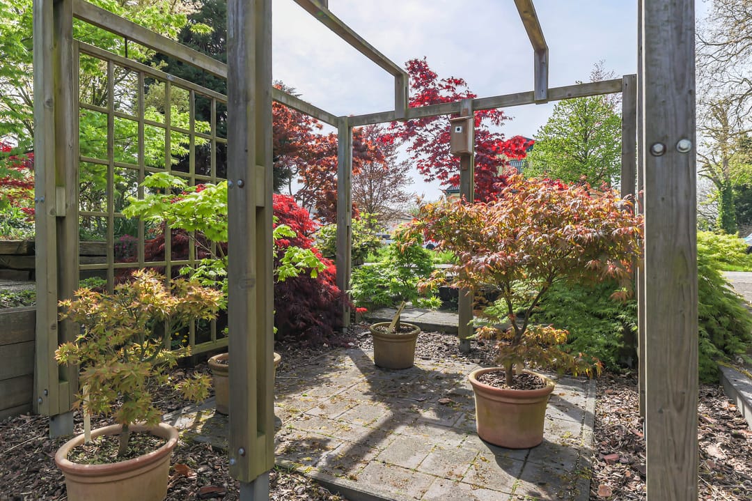 Foto 46 van Borgercompagniesterstr 1