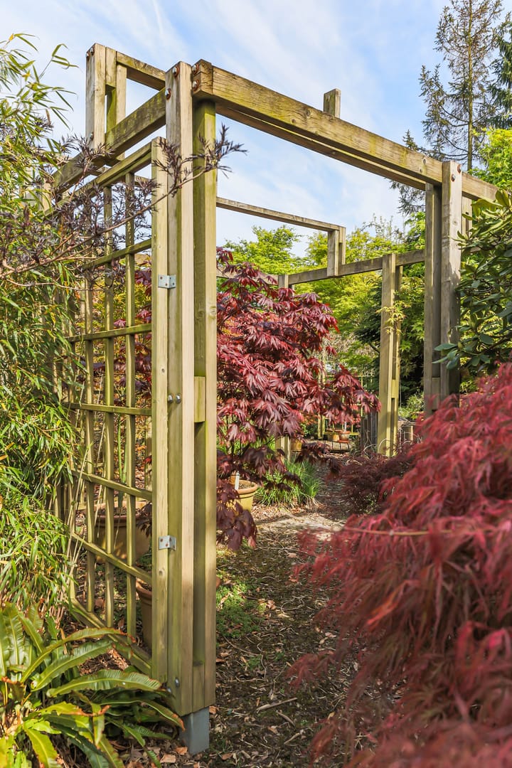 Foto 47 van Borgercompagniesterstr 1