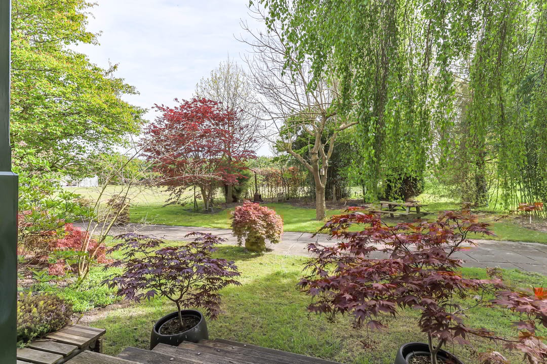 Foto 62 van Borgercompagniesterstr 1