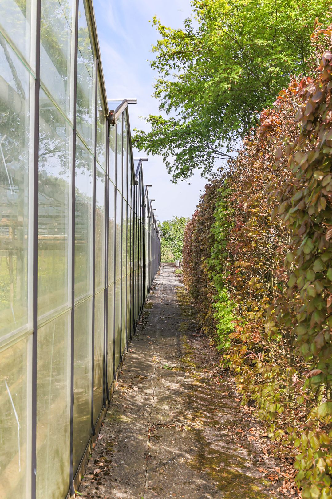 Foto 31 van Borgercompagniesterstr 1