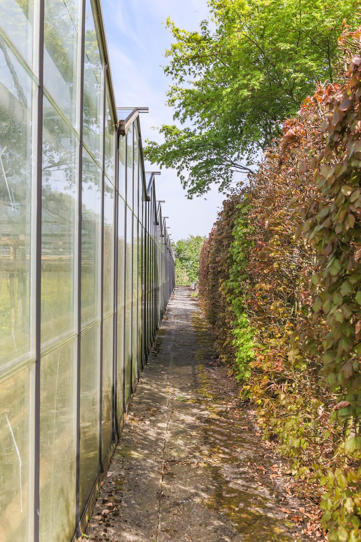 Foto 31 van Borgercompagniesterstr 1