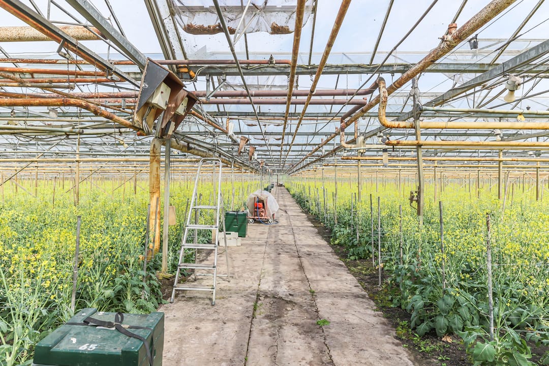 Foto 106 van Borgercompagniesterstr 1