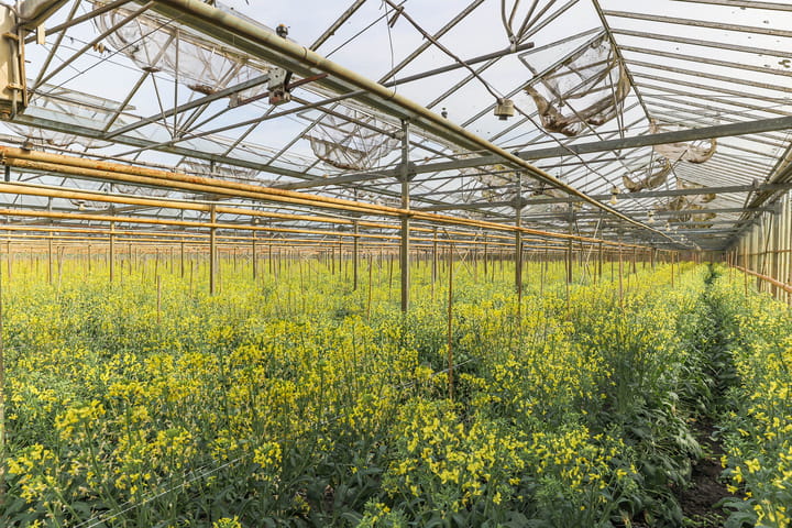 Foto 107 van Borgercompagniesterstr 1