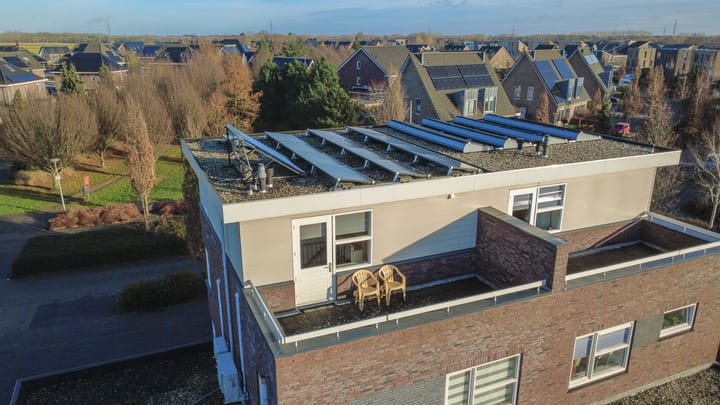 Foto 3 van Bosrank 24