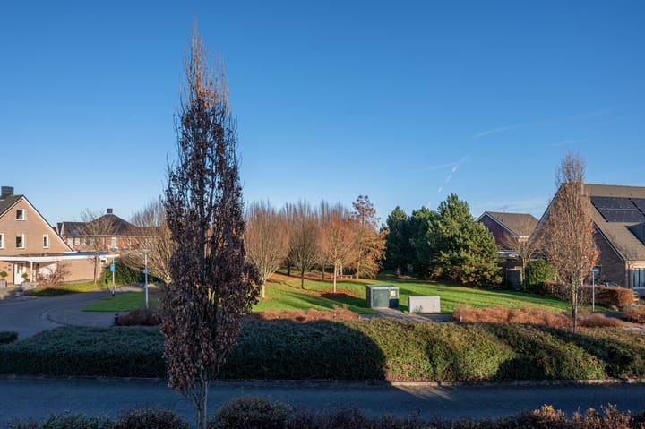 Foto 47 van Bosrank 24